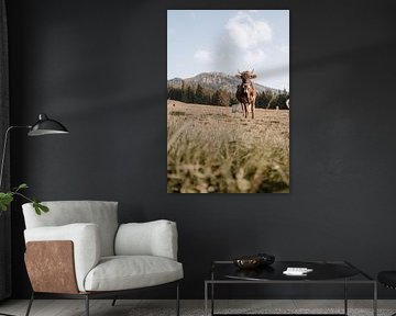 Douce vache de l'Allgäu avec vue sur le Grünten (tons terre) sur Leo Schindzielorz