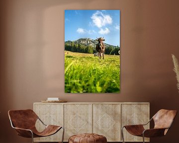 Douce vache de l'Allgäu avec vue sur le Grünten sur Leo Schindzielorz