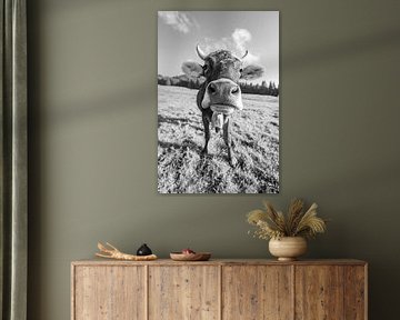 Douce vache de l'Allgäu avec vue sur le Grünten (noir et blanc) sur Leo Schindzielorz