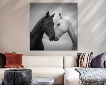 Portret van twee paarden van Koffie Zwart