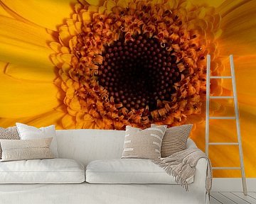 Happy Sunshine: a warm yellow flower by Marjolijn van den Berg