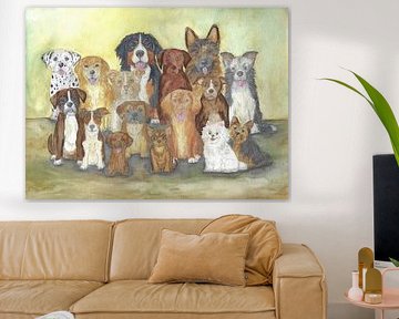 Dog photo by Sandra Steinke