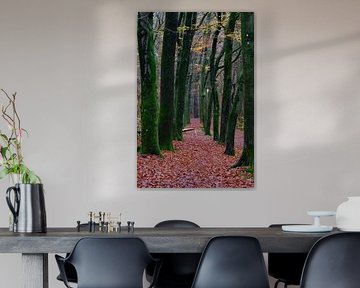 Narrow avenue through the forest by Gerard de Zwaan
