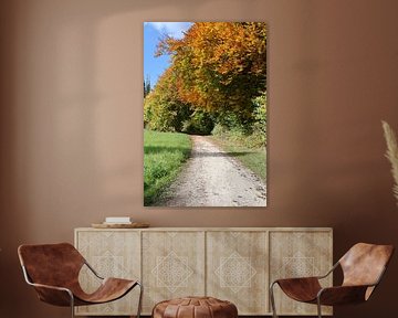 Arbres d'automne sur Seli