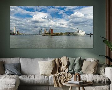 Skyline Rotterdam 026 van Onno Kemperman