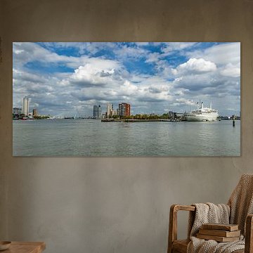 Skyline Rotterdam 026