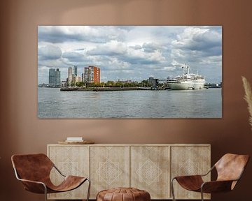 Skyline Rotterdam 027 van Onno Kemperman