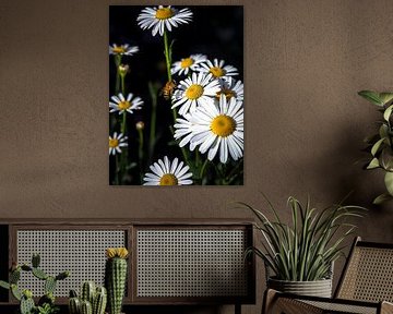 Witte bloemen van Bovi Okta