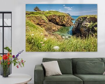 Coast near the Ile d`Aber, Brittany