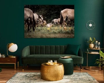 Pferde in Harmonie Natürliche Versammlung auf dem Feld von Femke Ketelaar