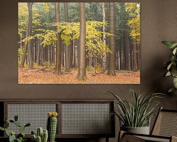 Forêt d'automne sur la crête de la colline d'Utrecht sur Peter Haastrecht, van