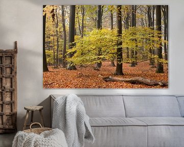 Forêt d'automne sur la crête de la colline d'Utrecht sur Peter Haastrecht, van