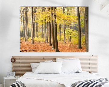 Forêt d'automne sur la crête de la colline d'Utrecht sur Peter Haastrecht, van