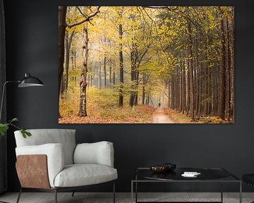 Sentier forestier sur la crête de la colline d'Utrecht sur Peter Haastrecht, van