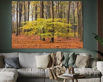 Forêt d'automne sur la crête de la colline d'Utrecht sur Peter Haastrecht, van