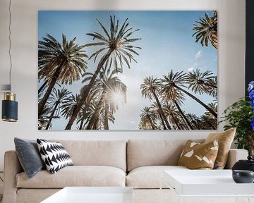 Palmen in Sonnenstrahlen Tropisches Lichtspiel von Femke Ketelaar