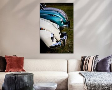 Three beetles in a row.