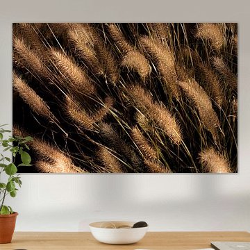 Golden plumes in nature