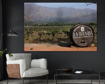 The Old Vineyard Trough