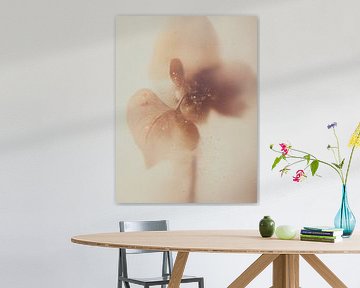 Poussière d'aube sur Cats & Dotz