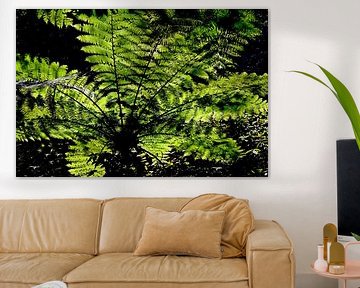 DSCHUNGEL 2 van Miroslav Ptacek