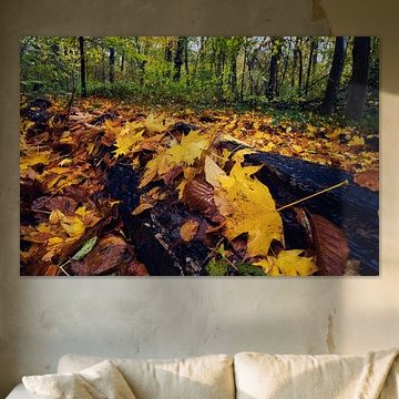 Tree trunk covered with autumn leaves