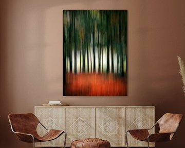 Dans la forêt de hêtres (I) sur André Blom Fotografie Utrecht