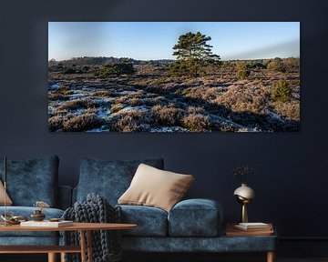 Winter landscape Geopark de Hondsrug by Henk Osinga