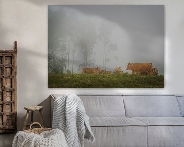 Kühe im Nebel von Willemijn Wolthaus