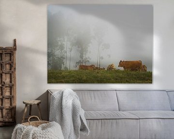 Cows in the fog by Willemijn Wolthaus