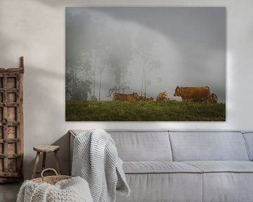 Cows in the fog by Willemijn Wolthaus