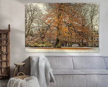 Winter snow in autumn in Groningen