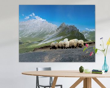 Gedekte schapen in de Picos de Europa van Willemijn Wolthaus