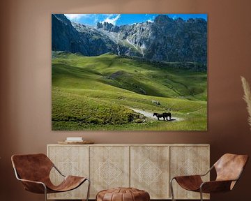 Pferde in den Picos de Europa von Willemijn Wolthaus