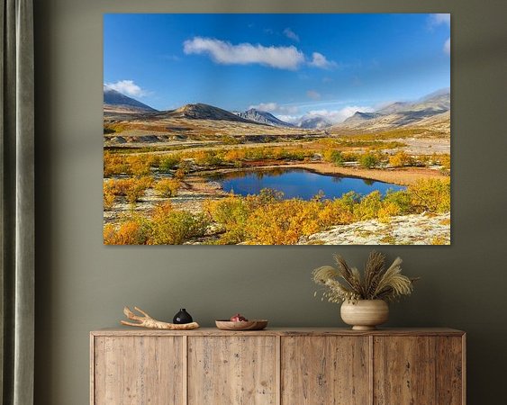 Aperçu de la chambre