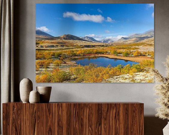 Aperçu de la chambre