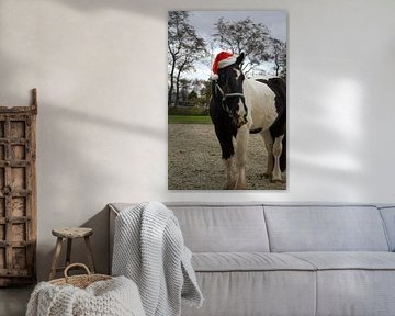 Weihnachtspony von LM fotografie