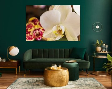 In the Presence of Blossoms