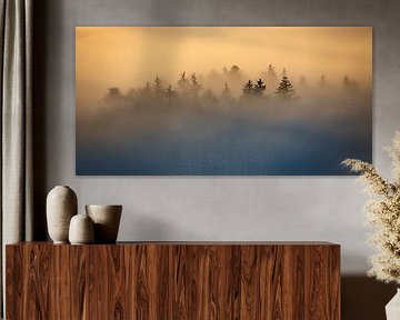 Zwischen Nebel und Licht von Judith Kuhn