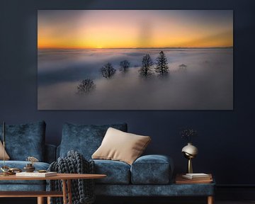 Sonnenaufgang an der Nebelgrenze von Judith Kuhn