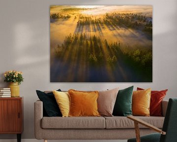 Misty shadows by Judith Kuhn