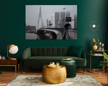 Rotterdam in the rain