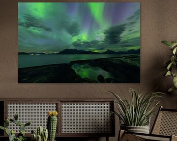 Aurora Borealis at dawn over the Sørfolda Fjord, Bodø