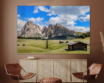 Alpe di Siusi, Dolomites by Dirk Rüter