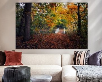 Bridge in Ter clouster estate