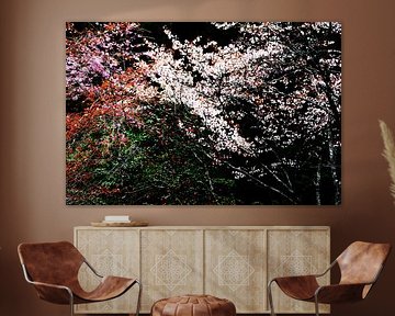 FRÜHLING IN JAPAN 4 von Miroslav Ptacek