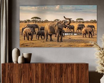 Kudde olifanten bij drinkplaats in Savanna van Markus Gann