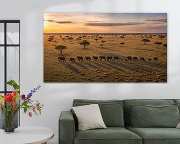 Olifanten lopen over de Afrikaanse savanne bij zonsondergang van Markus Gann