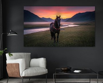 Paard met bloemenkransen in weiland bij zonsopgang van Markus Gann