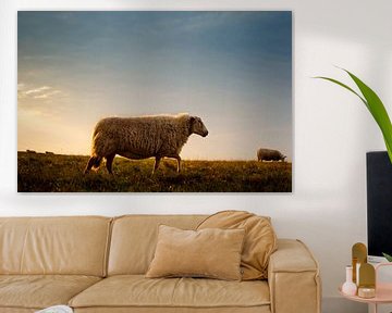 Sheep on the Dutch Lowlands von Erwin Plug